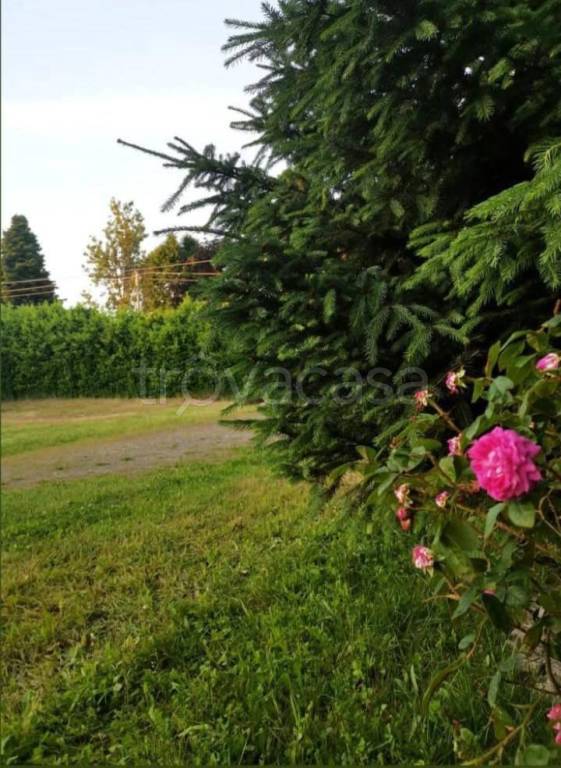 immagine annuncio 1 di 9