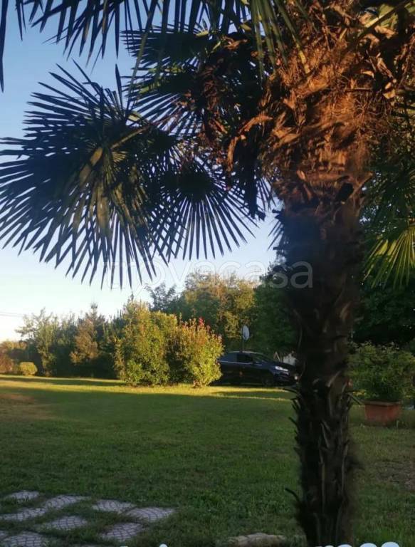 immagine annuncio 3 di 9