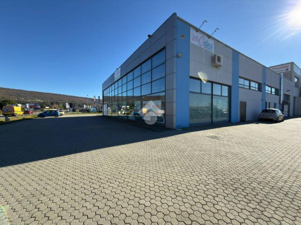 immagine annuncio 3 di 10