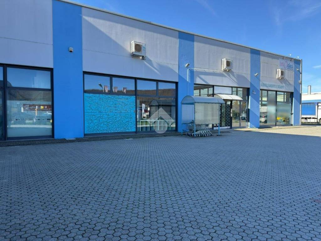 immagine annuncio 4 di 10