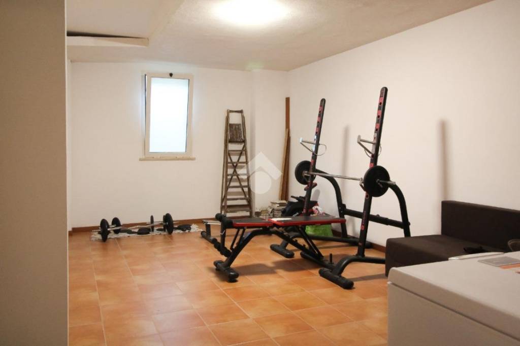 immagine annuncio 11 di 14