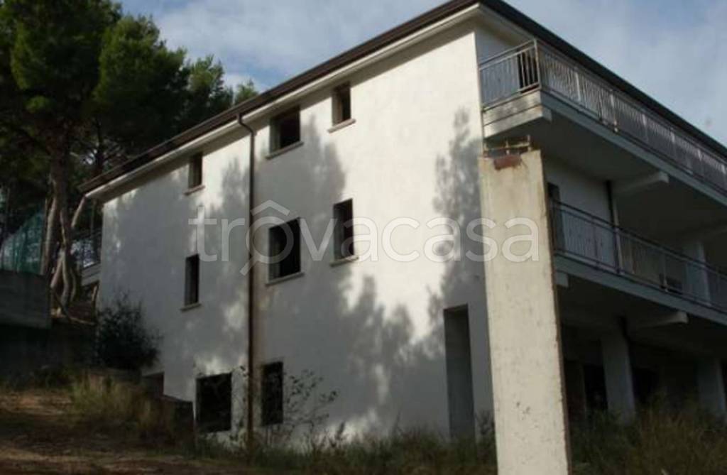 immagine annuncio 7 di 11