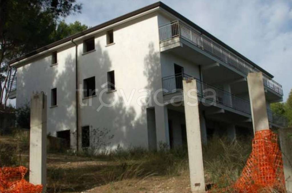 immagine annuncio 8 di 11