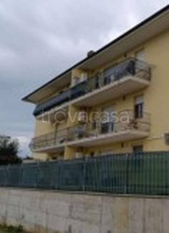 immagine annuncio 3 di 12