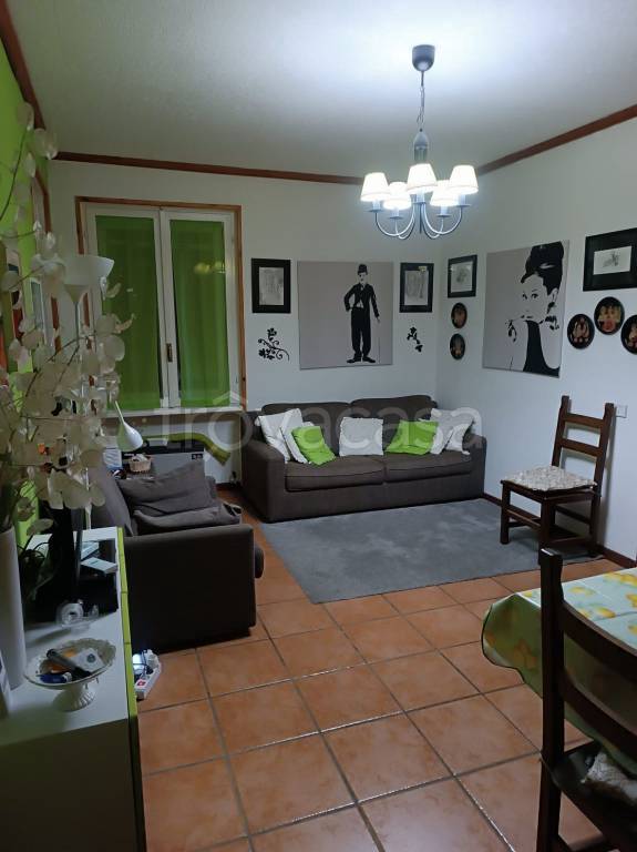 immagine annuncio 2 di 12