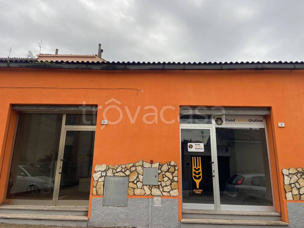 immagine annuncio 1 di 12