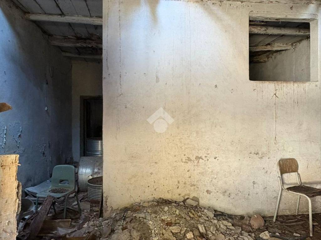 immagine annuncio 5 di 14