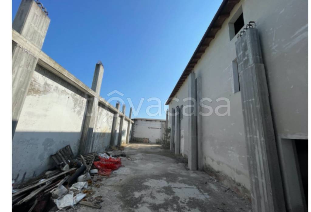 immagine annuncio 5 di 13