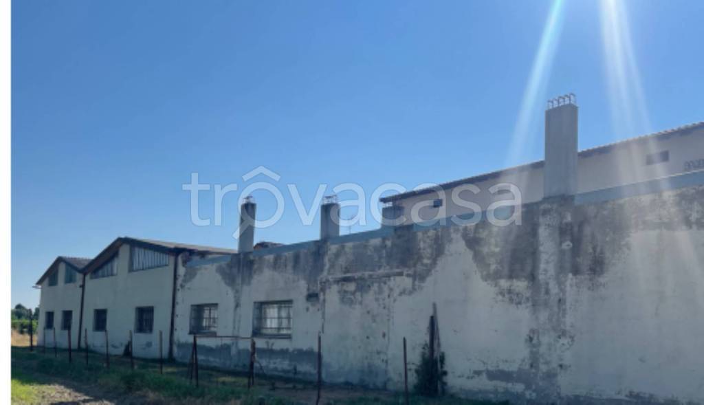 immagine annuncio 8 di 13