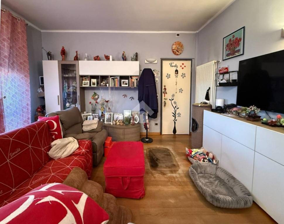 immagine annuncio 3 di 14