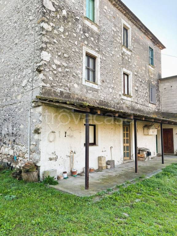 immagine annuncio 2 di 11