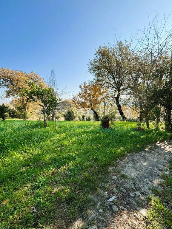 immagine annuncio 4 di 11