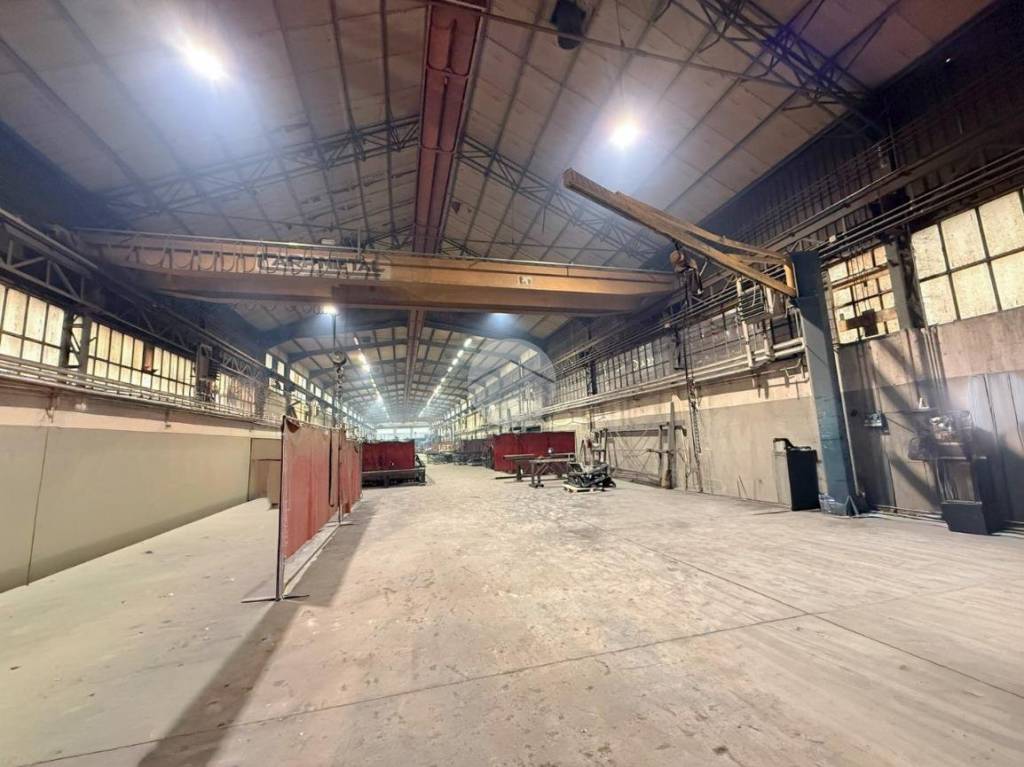 immagine annuncio 4 di 13