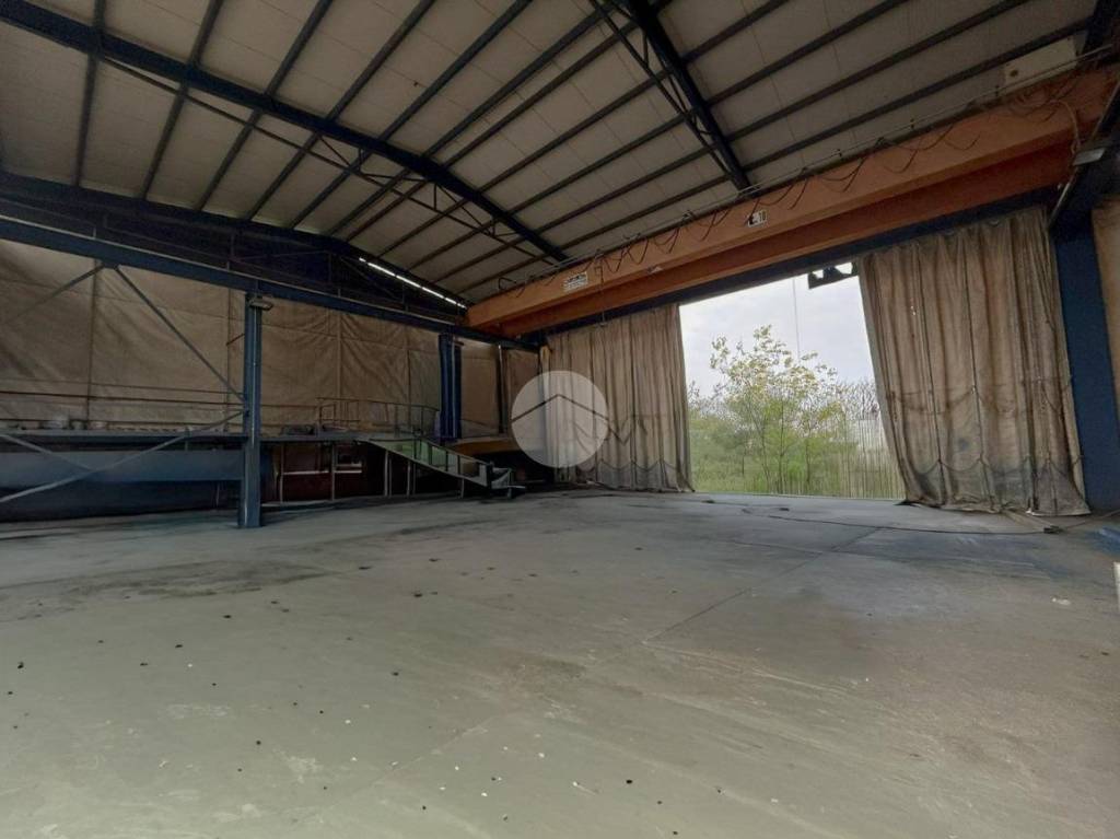 immagine annuncio 6 di 13