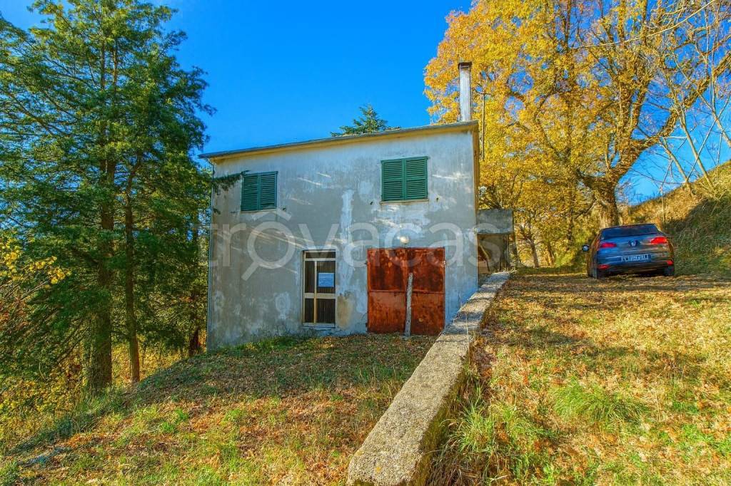 immagine annuncio 3 di 7