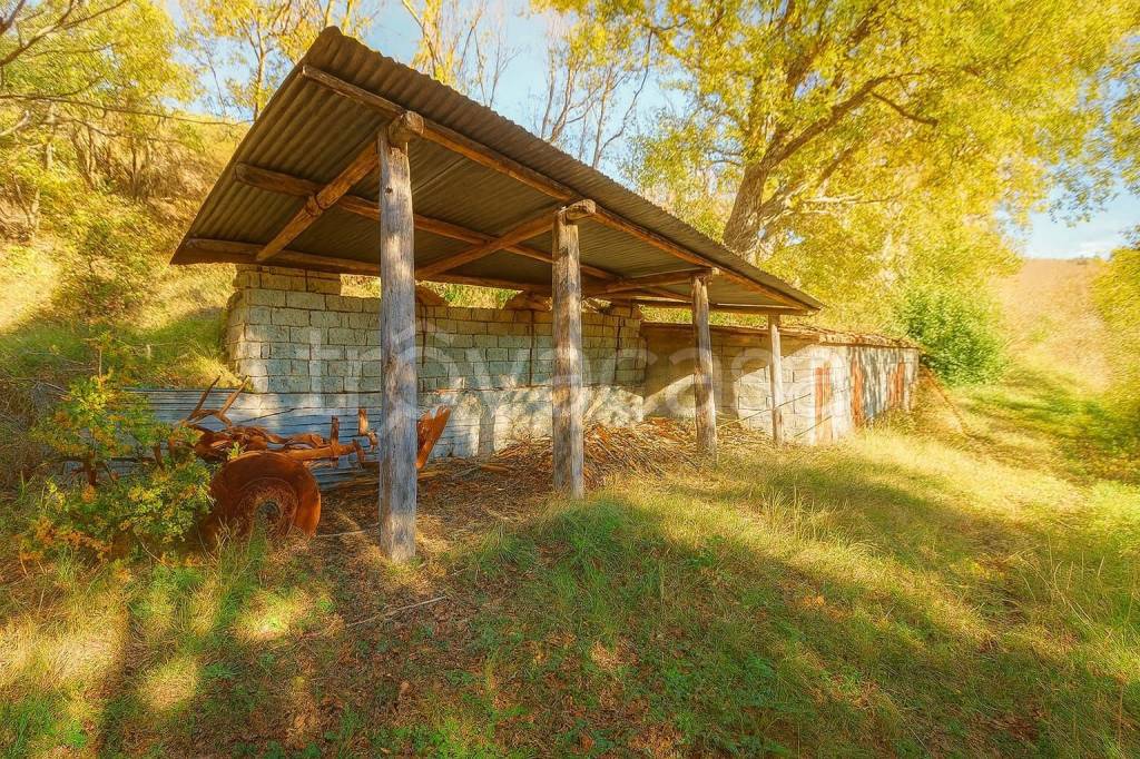 immagine annuncio 5 di 7