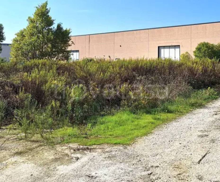 immagine annuncio 4 di 10