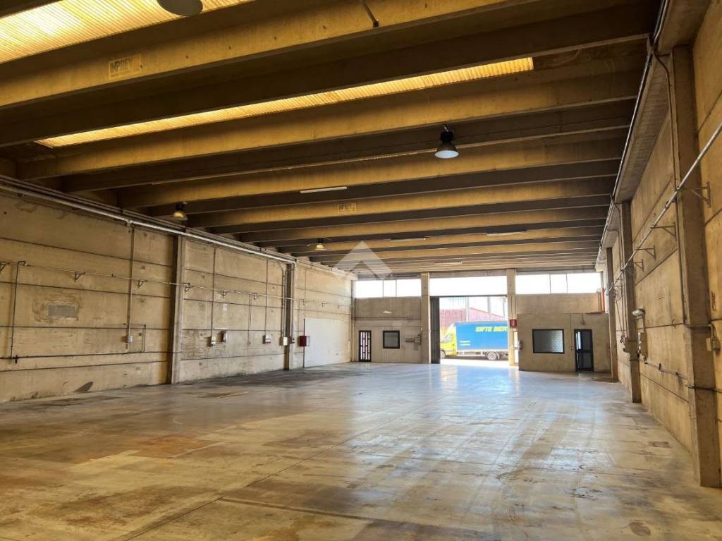 immagine annuncio 1 di 11