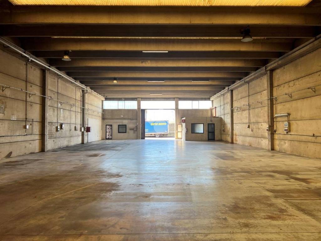 immagine annuncio 2 di 11