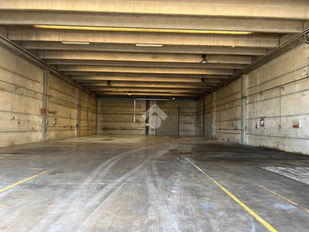 immagine annuncio 3 di 11