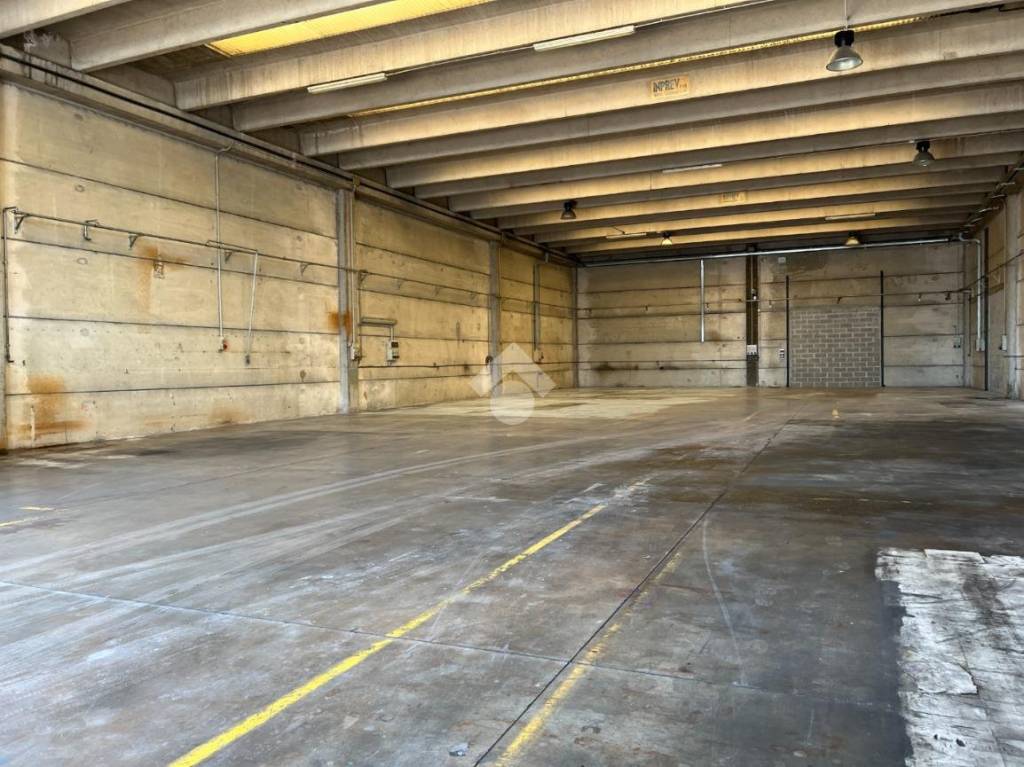 immagine annuncio 4 di 11