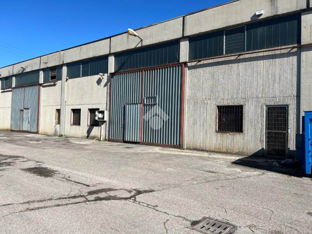 immagine annuncio 7 di 11