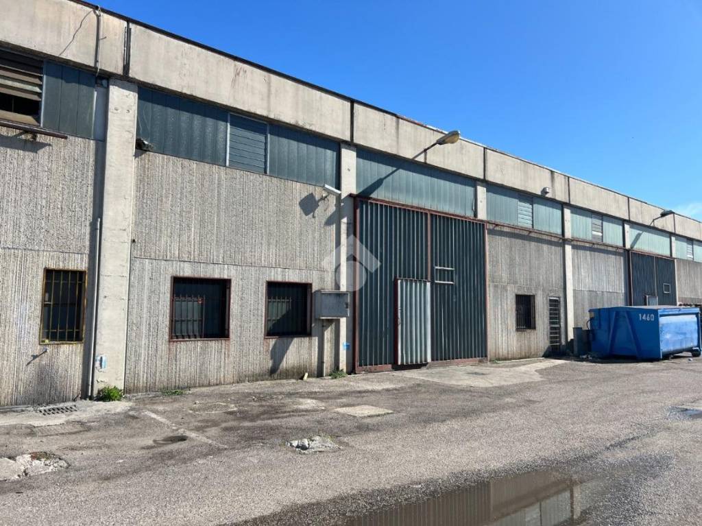 immagine annuncio 8 di 11