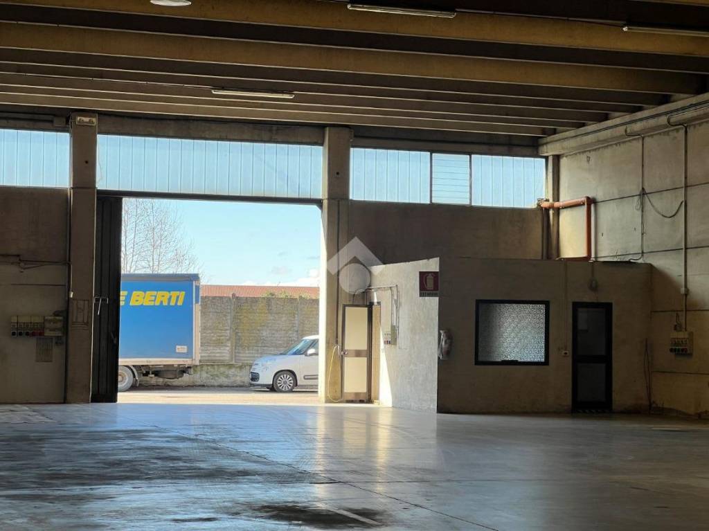 immagine annuncio 9 di 11