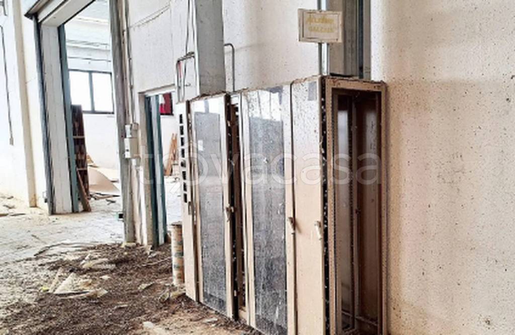 immagine annuncio 6 di 11