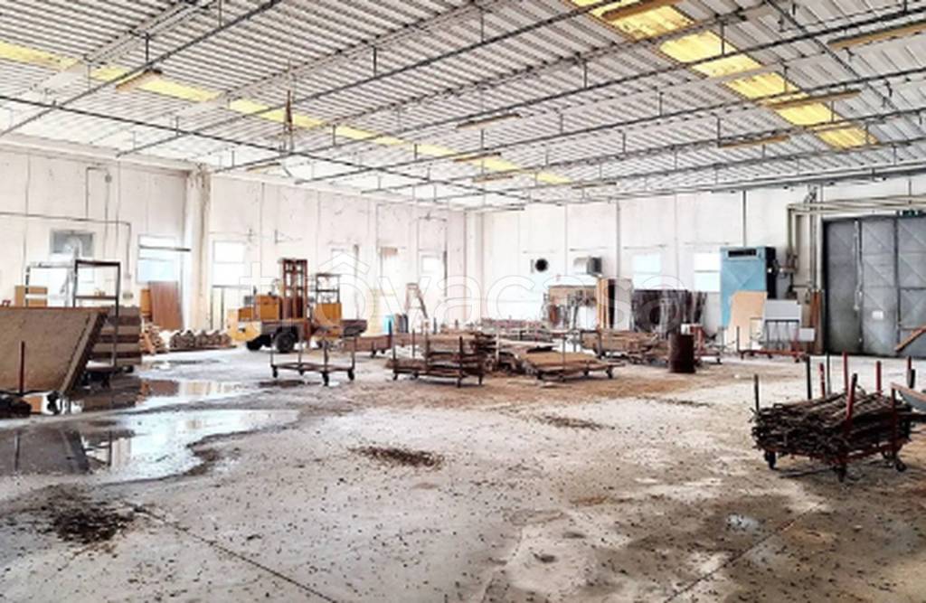 immagine annuncio 8 di 11