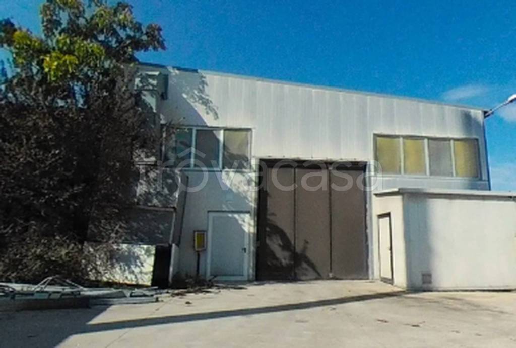 immagine annuncio 7 di 11