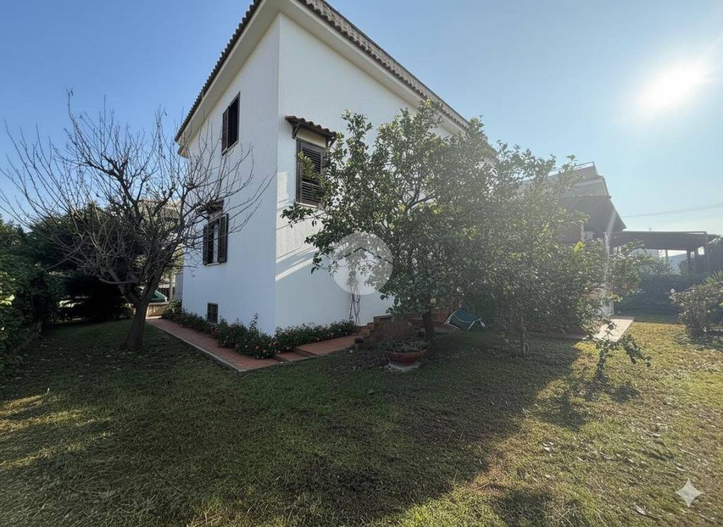 immagine annuncio 2 di 12