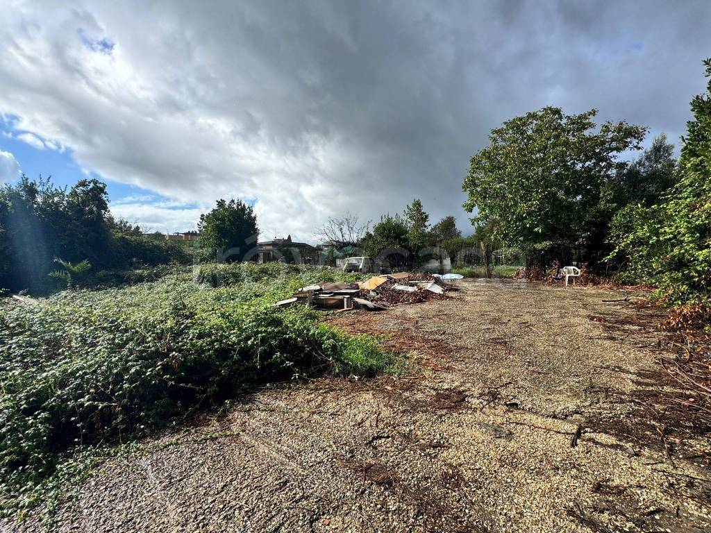 immagine annuncio 5 di 6