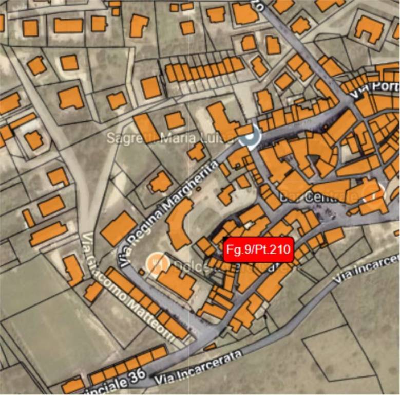 immagine annuncio 2 di 11