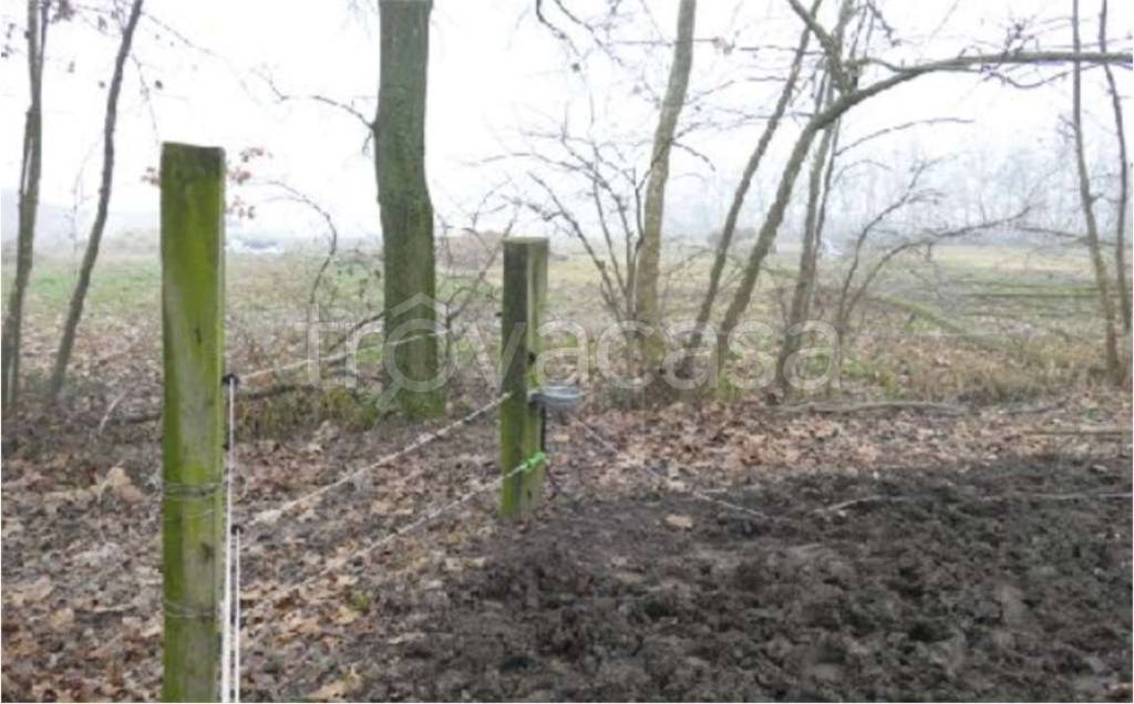 immagine annuncio 5 di 11