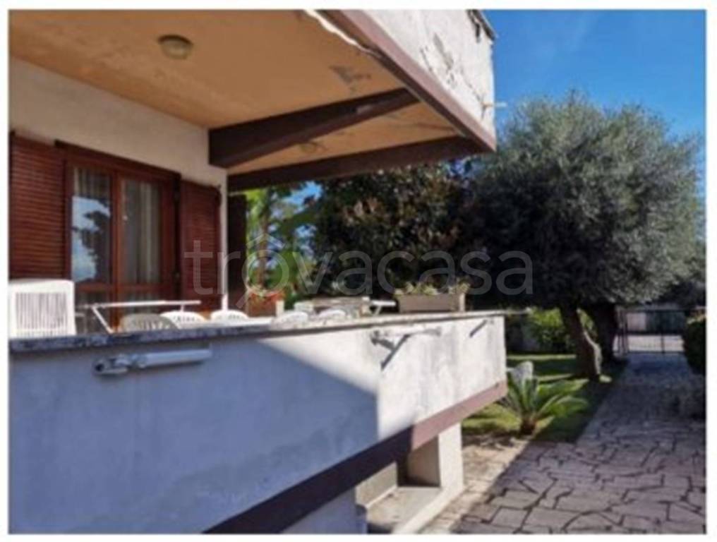 immagine annuncio 9 di 15