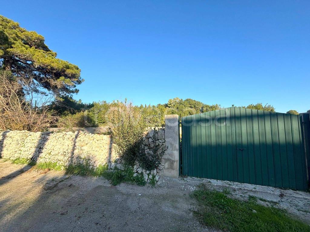 immagine annuncio 1 di 9