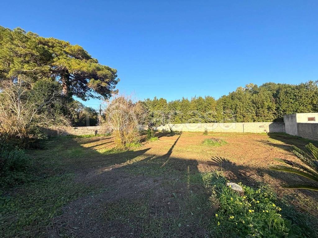 immagine annuncio 3 di 9