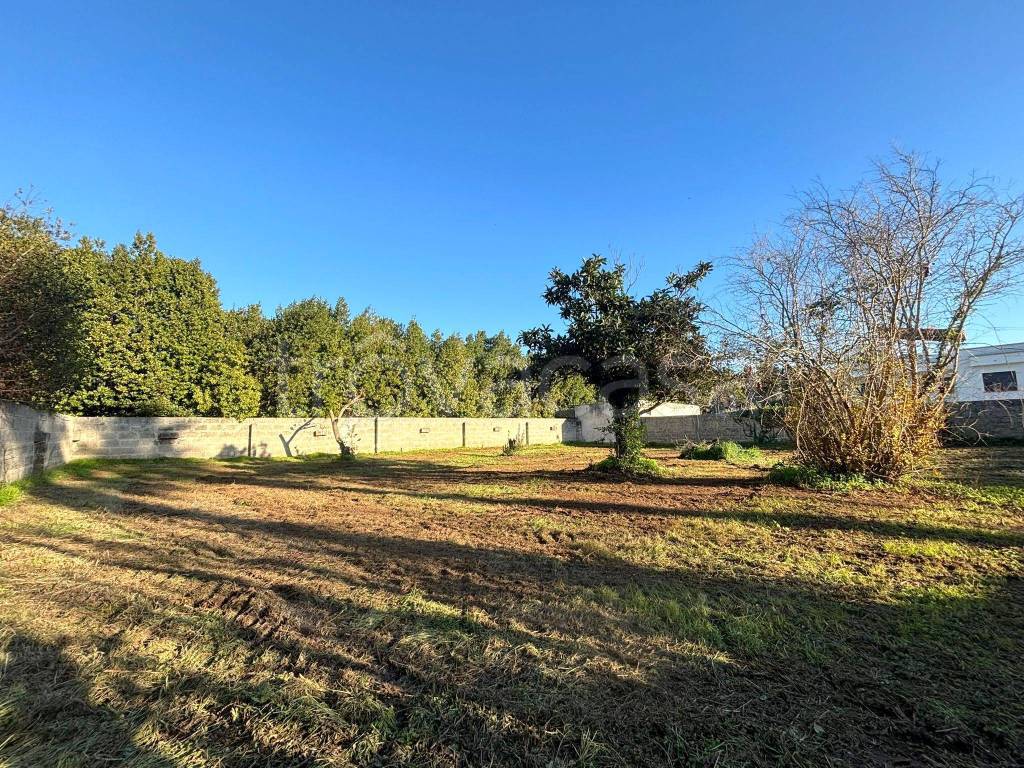 immagine annuncio 6 di 9