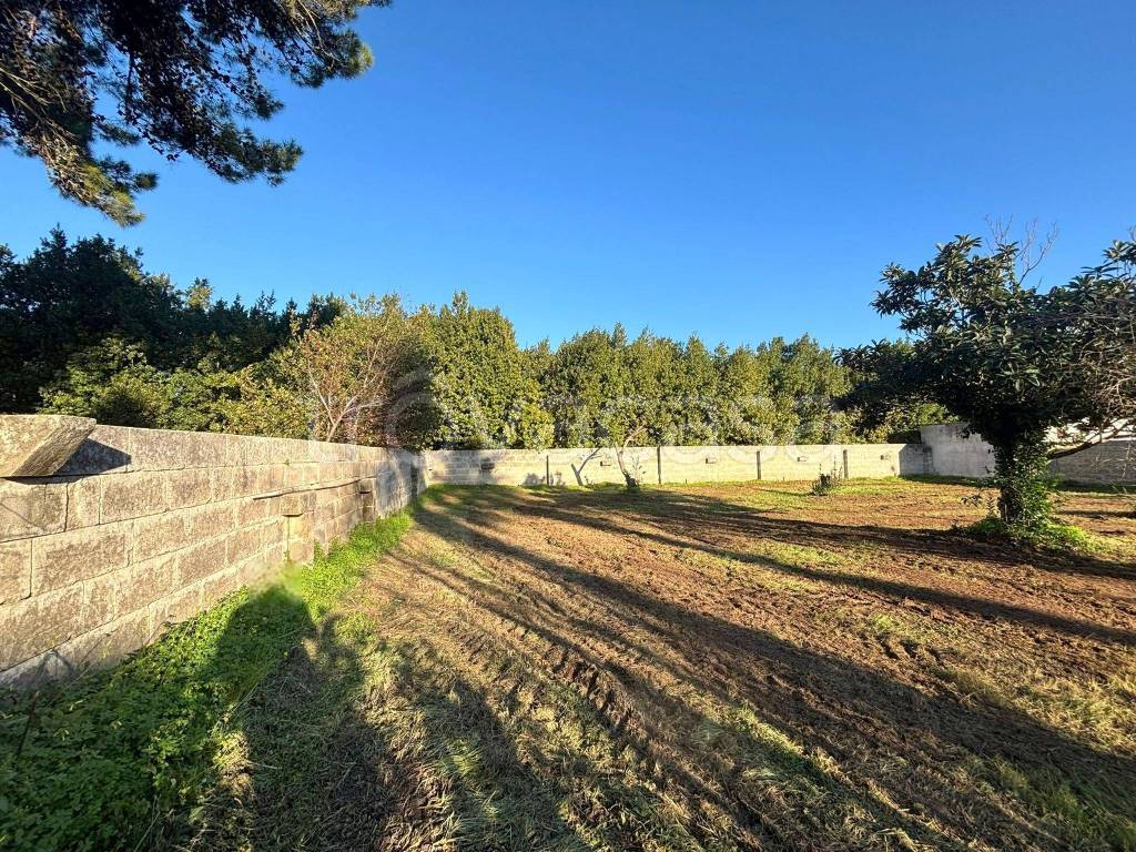 immagine annuncio 7 di 9