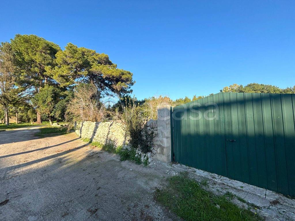 immagine annuncio 8 di 9