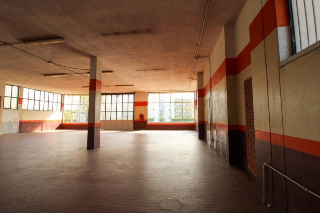 immagine annuncio 5 di 15