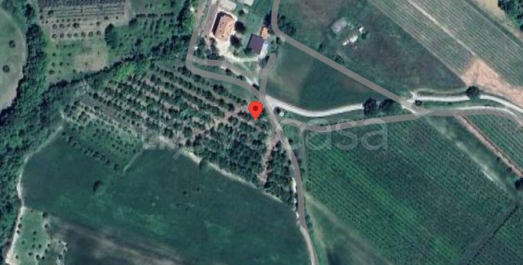 immagine annuncio 2 di 11