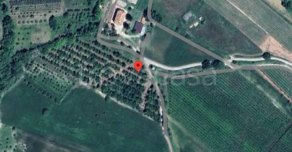 immagine annuncio 3 di 11