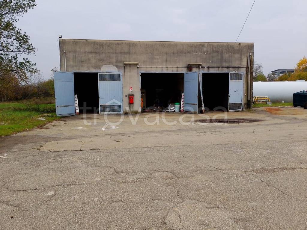 immagine annuncio 5 di 15