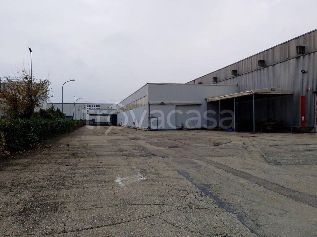 immagine annuncio 7 di 15