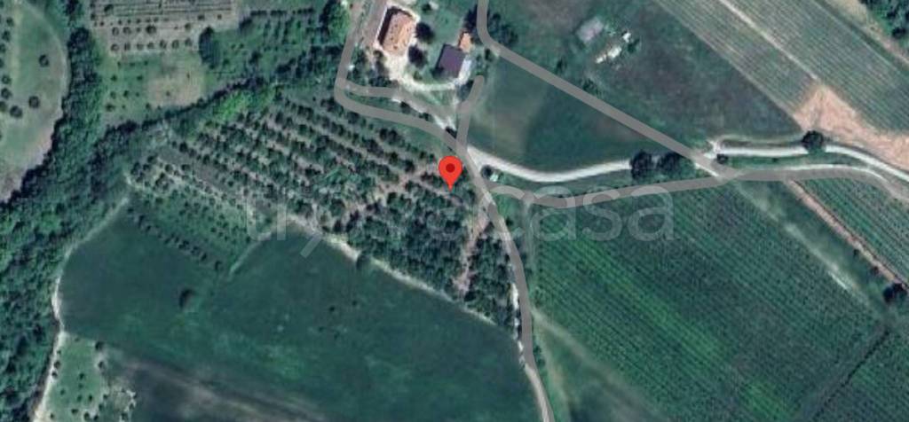 immagine annuncio 4 di 11