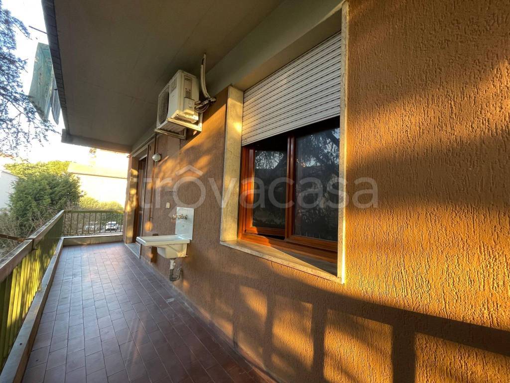 immagine annuncio 4 di 11