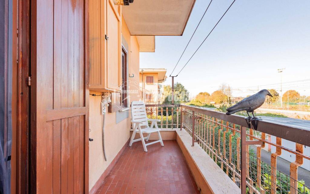 immagine annuncio 11 di 14