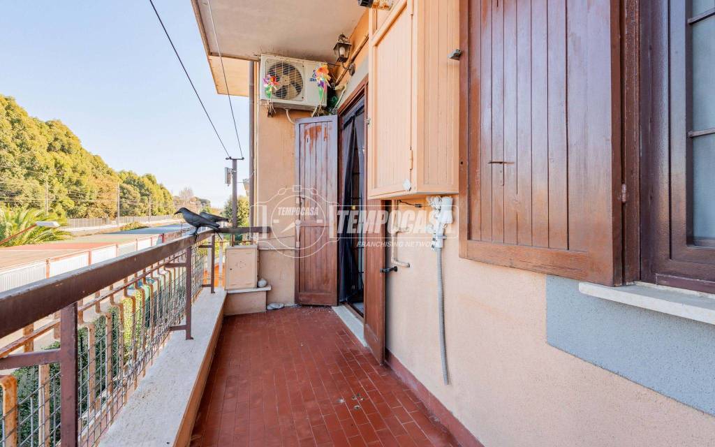 immagine annuncio 12 di 14